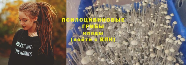 a pvp Алзамай