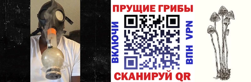 Псилоцибиновые грибы Magic Shrooms  цена наркотик  Вологда 